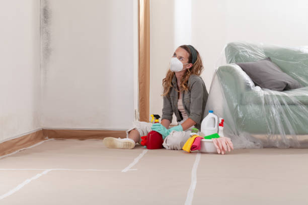 Reliable Black Mold Removal contractor in Spotswood, NJ by WQB Mold Removal